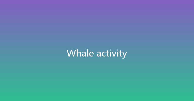 Whale activity 